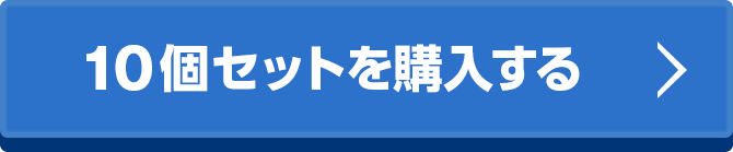 10個セットを購入する